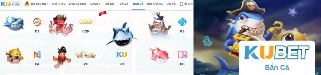 KU Thể Thao: Cách Theo Dõi Một Ngày Bóng Đá Với Livescore