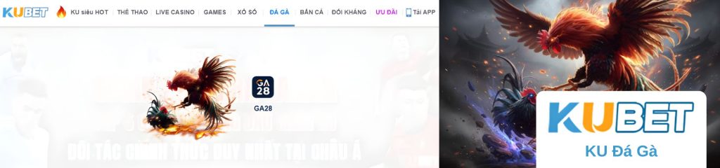 KU Thể Thao có uy tín không? Những điều người chơi nên biết